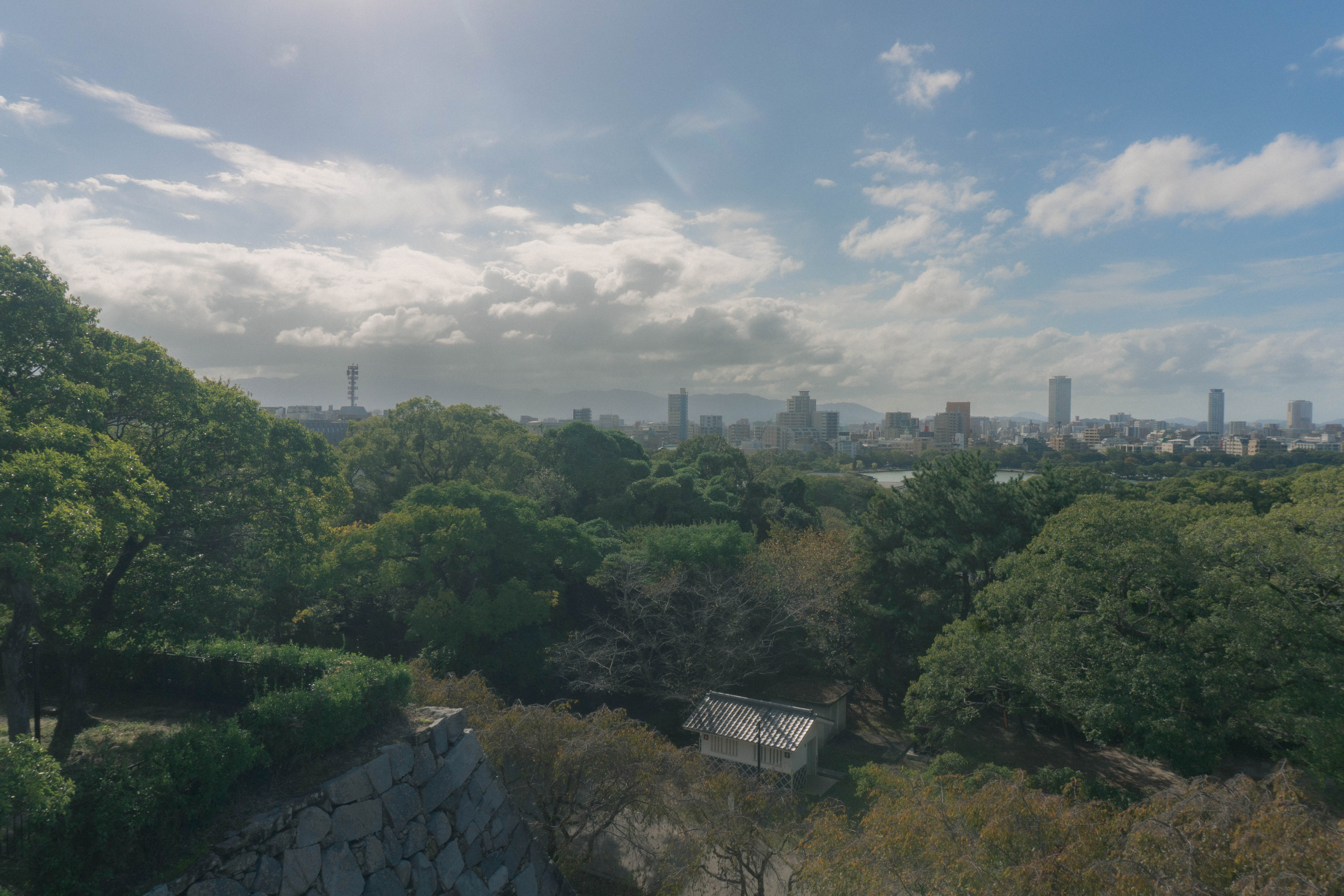 Ohari park picture 6